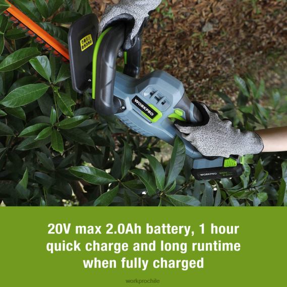 Cortasetos inalámbrico de 20 V, cuchillas de doble acción, herramienta de jardinería eléctrica, batería de 2,0 Ah y cargador rápido de 1 hora incluido WORKPRO JDN8Z295 moderno herramienta