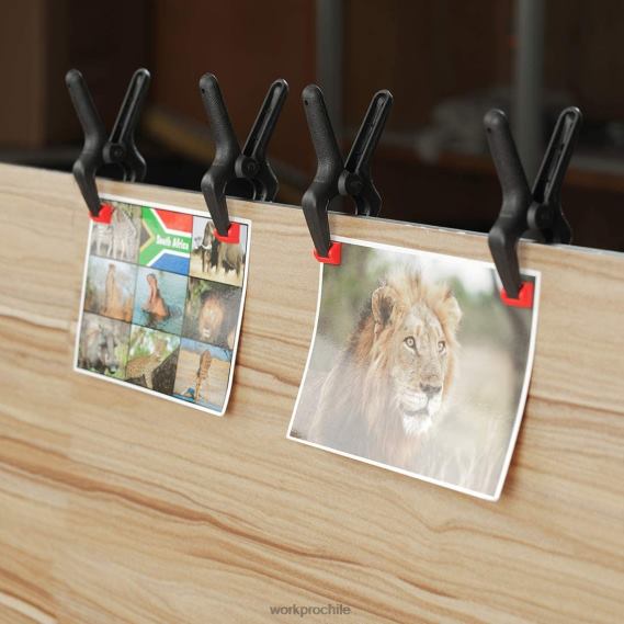 Juego de abrazaderas de resorte de nailon de 16 piezas para carpintería, estudios de fotografía y trabajos de bricolaje WORKPRO JDN8Z125 moderno herramienta