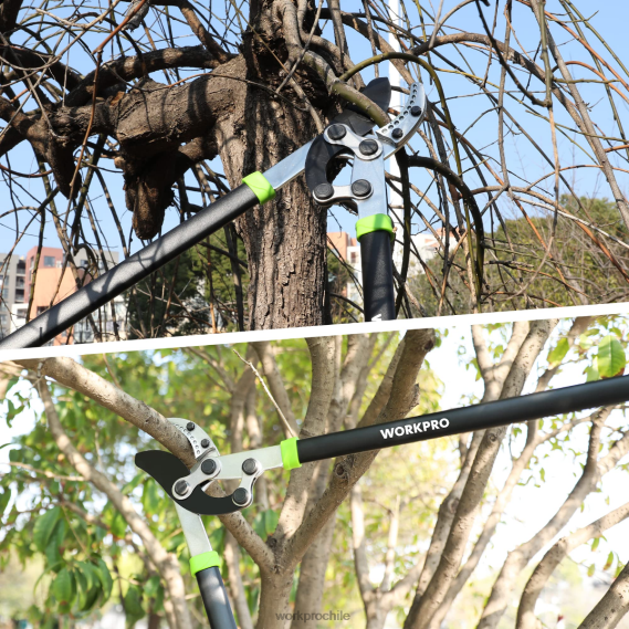 Podadora de yunque, cortadora de ramas de 32 pulgadas con acción compuesta, podadora de árboles de jardín de alta resistencia WORKPRO JDN8Z282 moderno herramienta