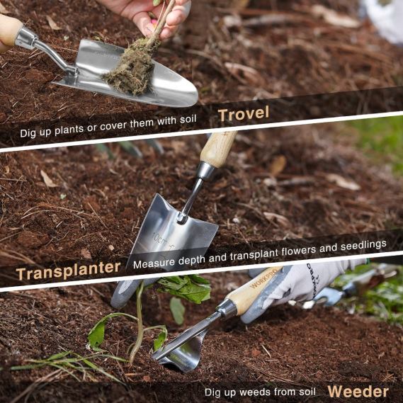 Juego de herramientas de jardín de 7 piezas, herramientas de jardinería resistentes de acero inoxidable WORKPRO JDN8Z252 rosa herramienta